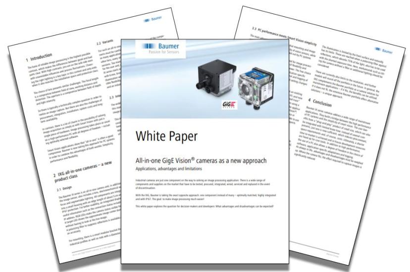 Baumer November White Paper